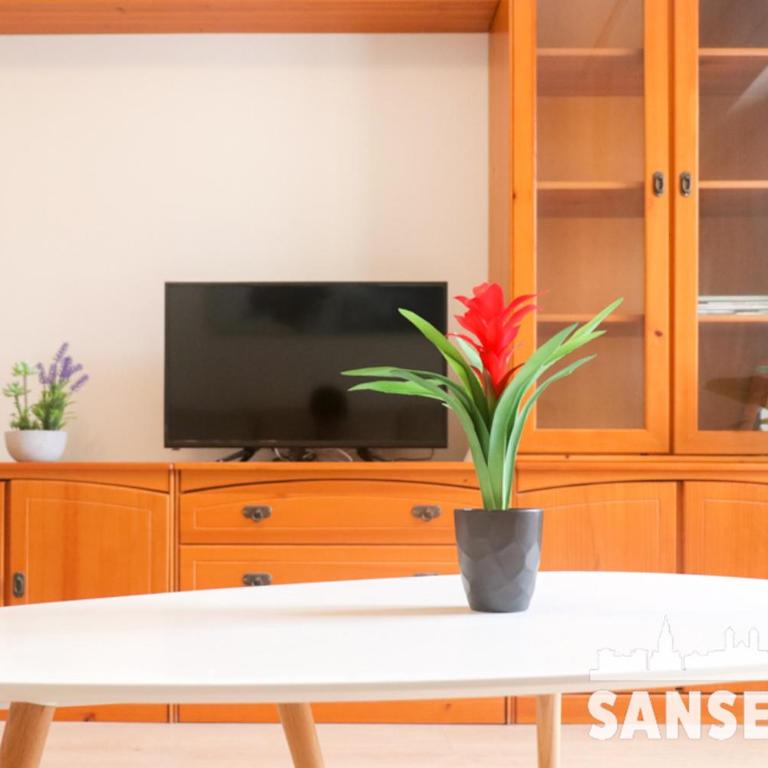 Apartamento Colón by SanSe Holidays - Apartamento de 2 dormitorios - 13