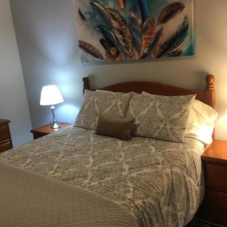 Doña Jose - Apartamento - Planta baja - 24