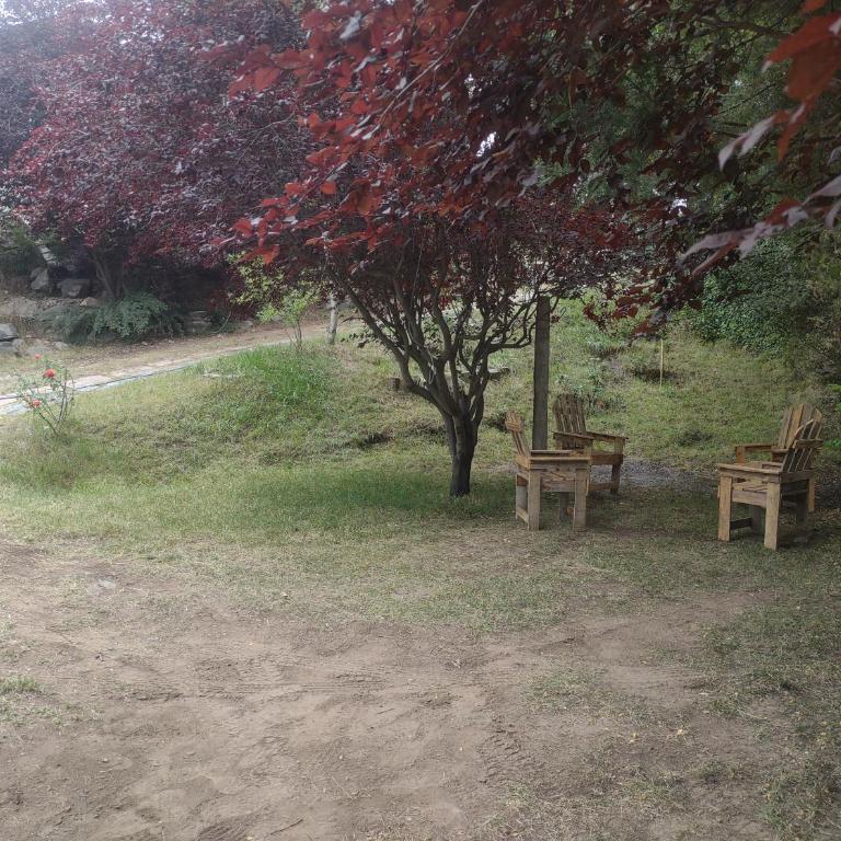 La Pausa - Casa de 2 dormitorios - 2