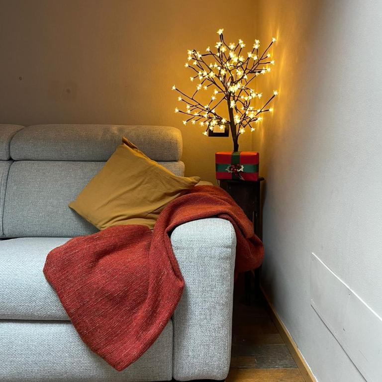 Acacia Firenze Apartments Cumino-Cannella-Curry - Apartment with Terrace - 4
