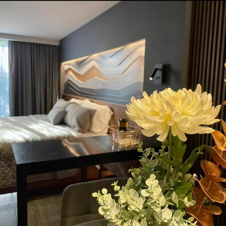 Suites MINE - Suite Superior con cama extragrande - 4