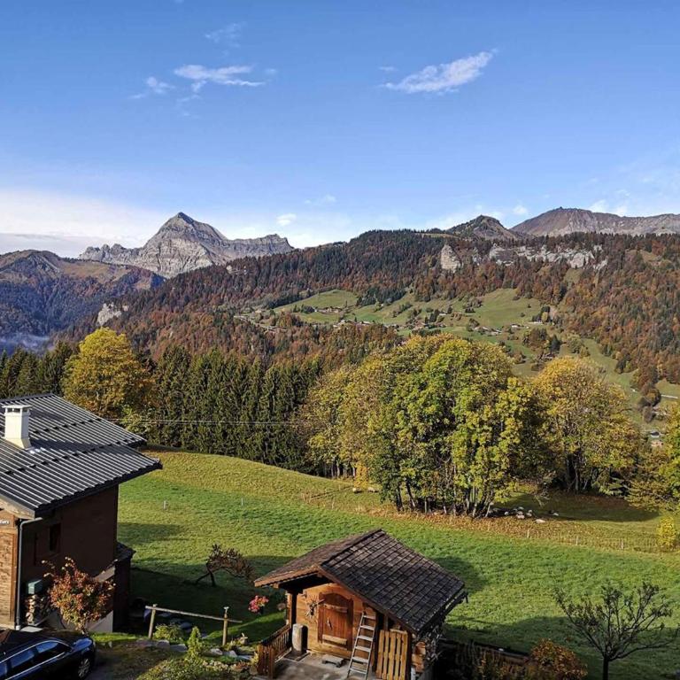 Appartement cosy avec terrasse, proche pistes et commodités - 6 pers. - Appartement 1 Chambre - 6