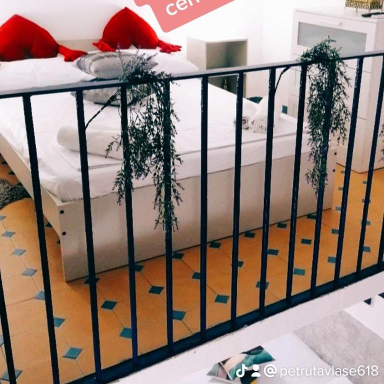 Perla Azzurra - One-Bedroom Apartment - 5