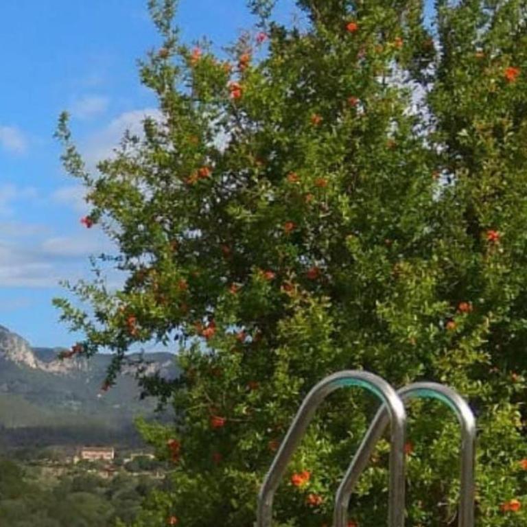 Villa Nice Mallorca - Villa de 5 dormitorios - 34