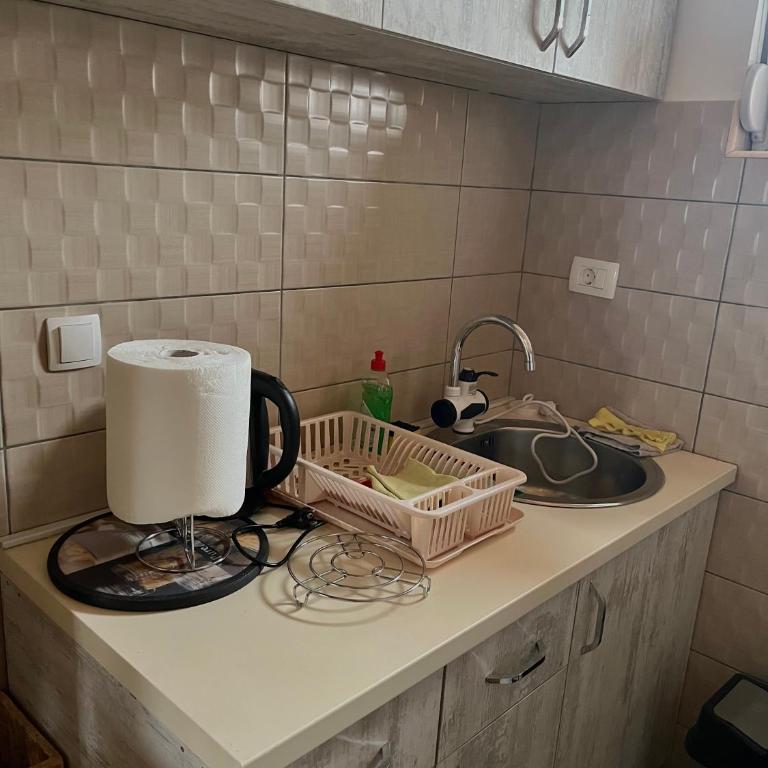 Villa Pejovic - Two-Bedroom House - 11