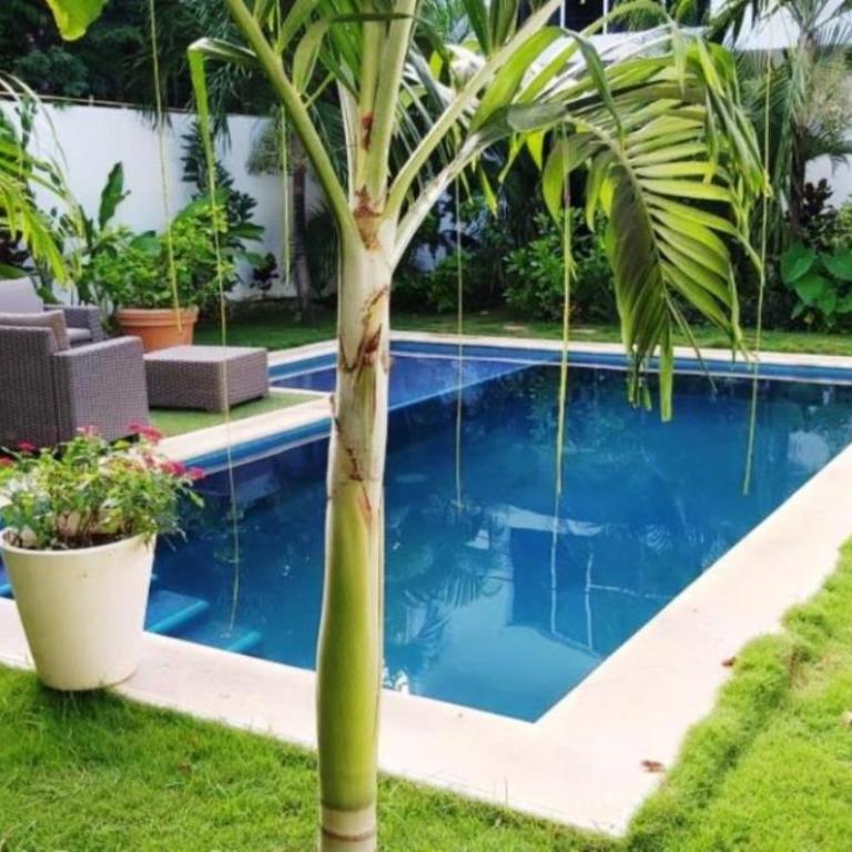 Casa Mtl Tulum - Apartamento con terraza - 1