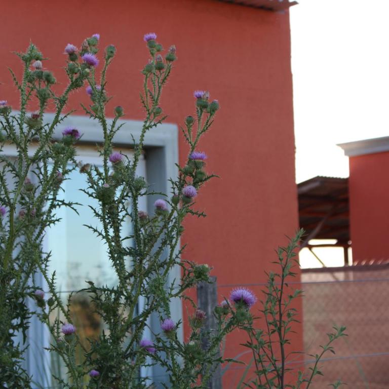 La Narcisa - Casa de 2 dormitorios - 30