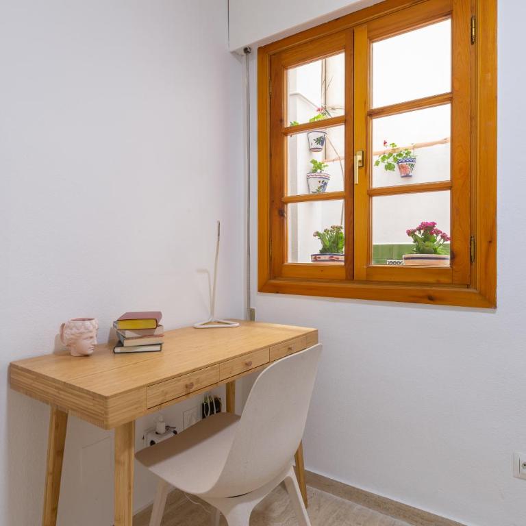 Bright apartment with patio and balconies in the center - Apartamento de 3 dormitorios - 28