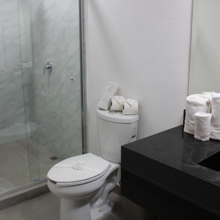 Hotel Chipinque - Habitación con cama extragrande. - 2