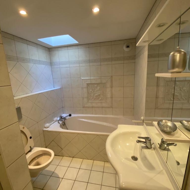 Le Colmarien - hypercentre - free parking - terrasse - Maison 4 Chambres - 13