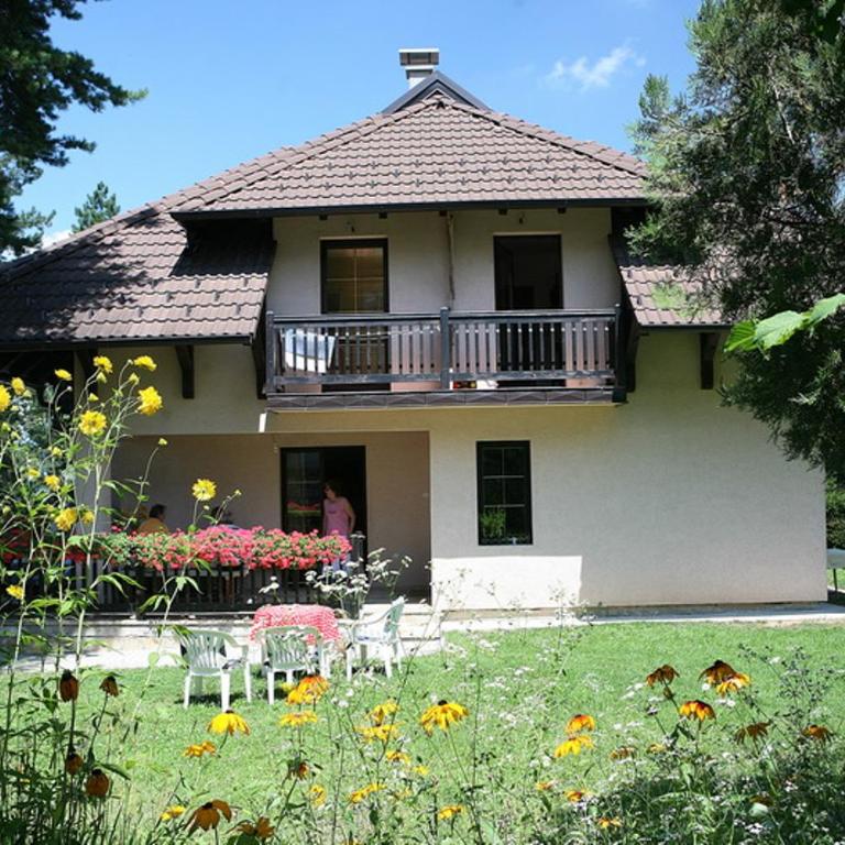 Vila Vidikovac - Apartman sa Terasom - 6
