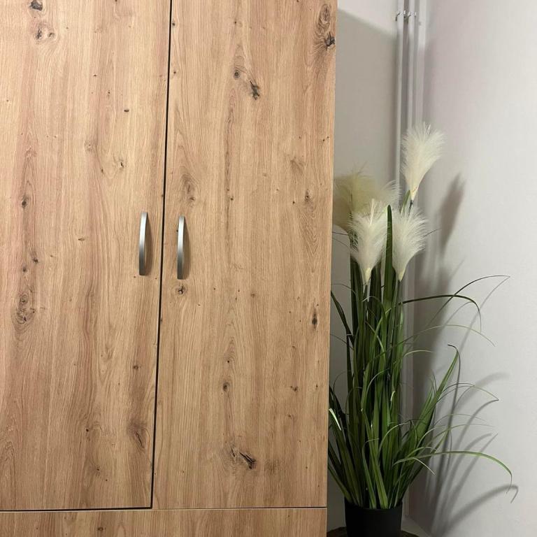ALFA Apartmani - Standard Apartment - 10