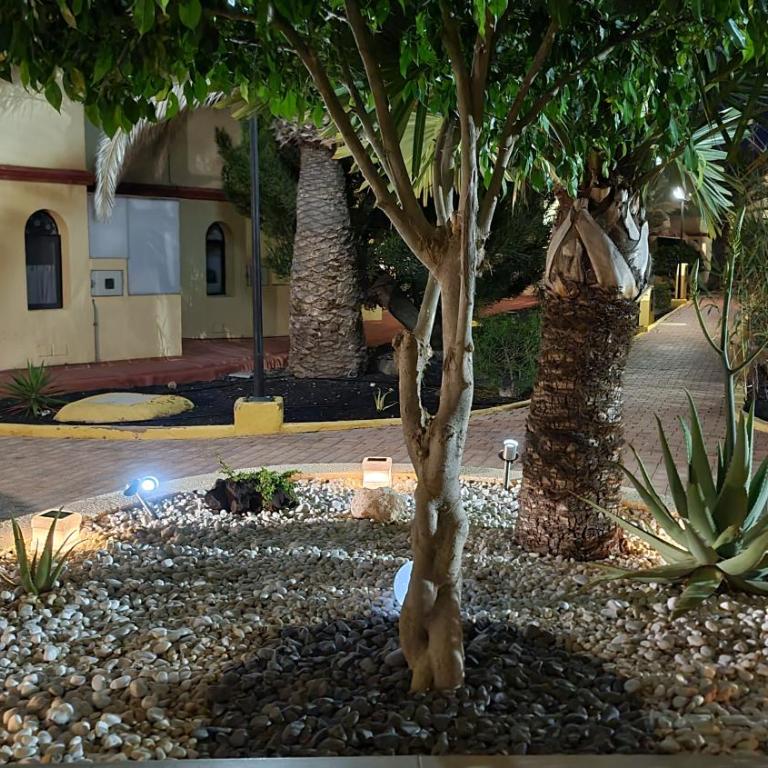 Holiday house Fuerteventura - Casa - 36