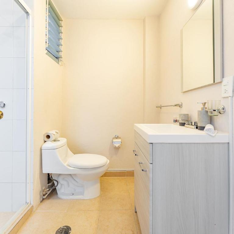 Hipódromo Condesa Apartments by VH - Three-Bedroom Apartment with Balcony - 10