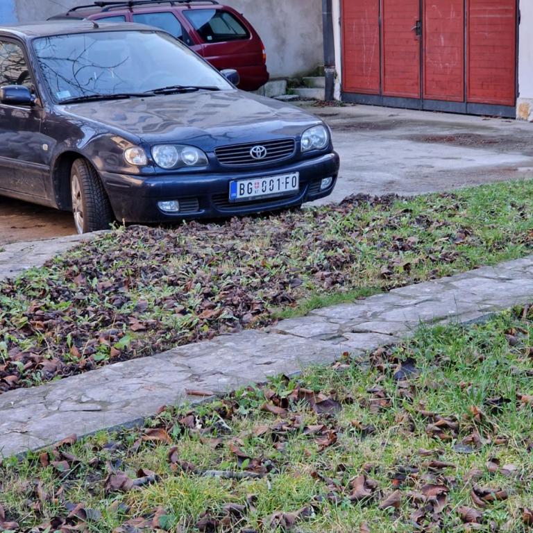 Avalon Apartments - Apartman sa 2 Spavaće Sobe - 18