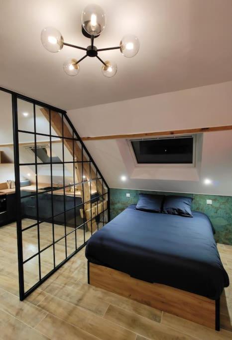 Hypercentre : vue cathédrale - verrière - cosy - Appartamento con 1 Camera da Letto - 8