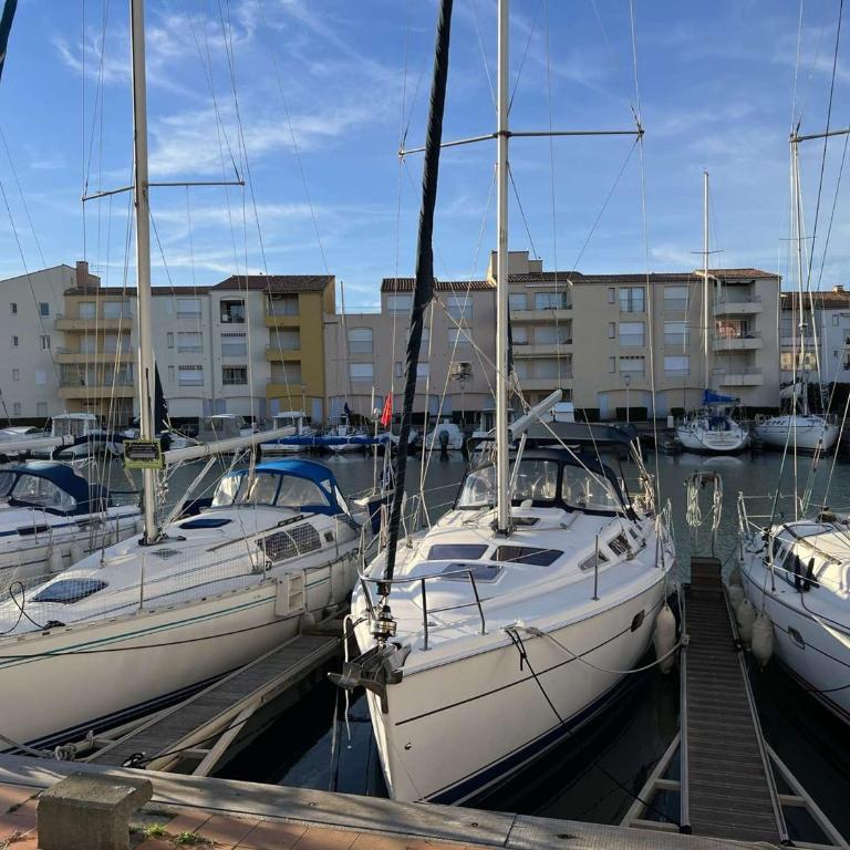 Grand 3 Pièces avec Terrasse, Lave-Linge et Lave-Vaisselle, Animaux Acceptés - FR-1-702-24 - Appartamento - 15