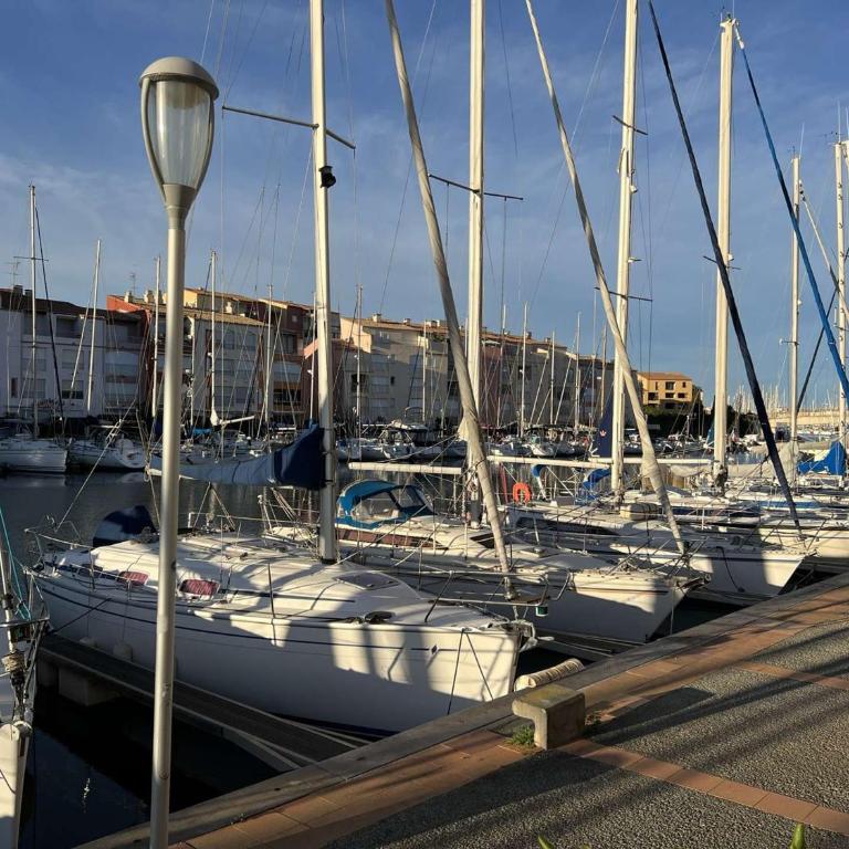 Grand 3 Pièces avec Terrasse, Lave-Linge et Lave-Vaisselle, Animaux Acceptés - FR-1-702-24 - Appartamento - 17