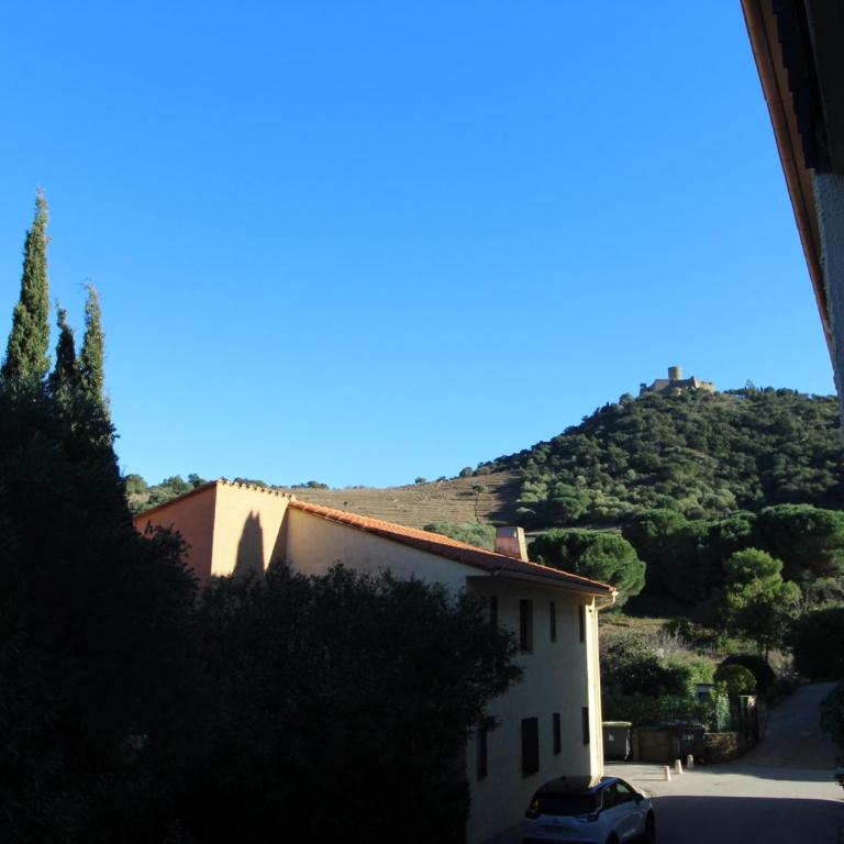 Studio agréable avec terrasse à 300m de la plage à Collioure - FR-1-309-360 - Monolocale - 1