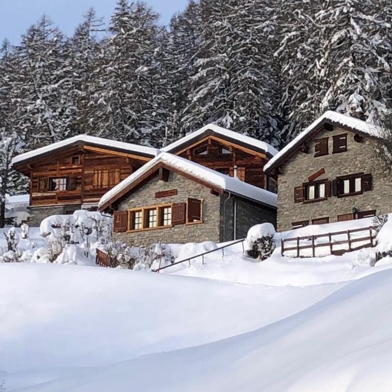 Tiny House facing the Alps - Ski in, Ski out - Chalet - 14