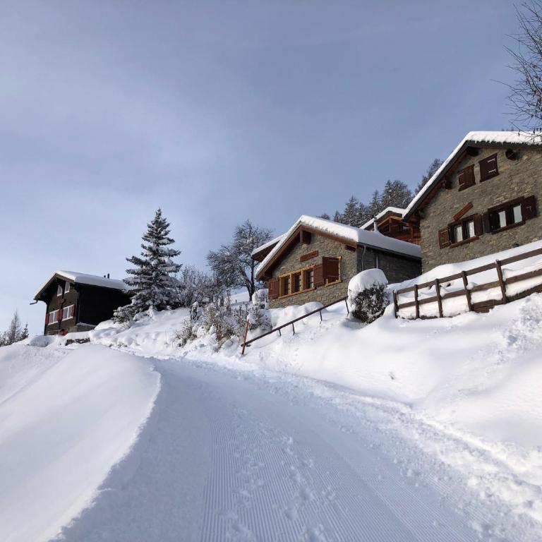 Tiny House facing the Alps - Ski in, Ski out - Chalet - 1