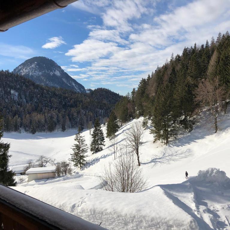 ChaletWK - Luxury old wood mountain chalet in a sunny secluded location with gym, sauna & whirlpool - Villa Deluxe - 11