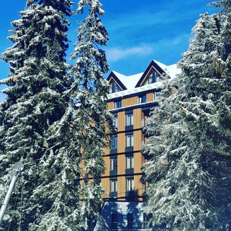 Woodside Apartman Kopaonik 315 - Studio Apartment - 30