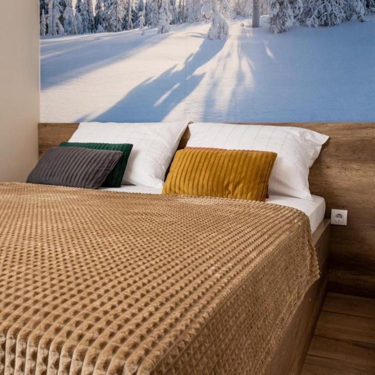 Aspen Apart12 - One-Bedroom Apartment - 21