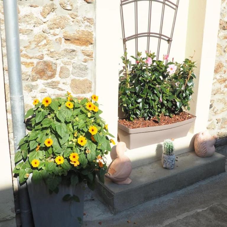 Appartement duplex et terrasse à St Servan-St Malo - Apartment mit 2 Schlafzimmern - 21