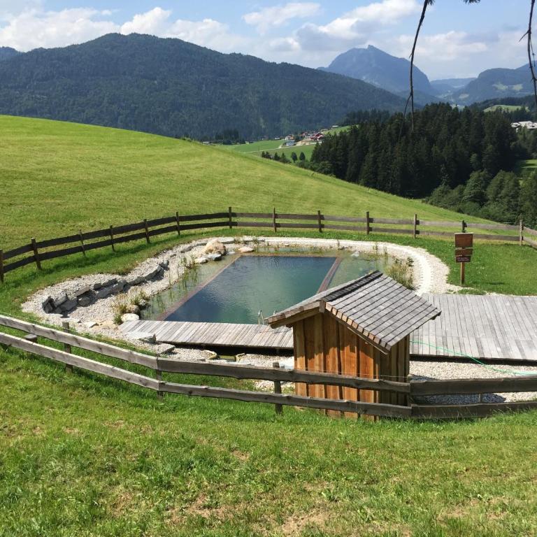 Sonnleit'n Zimmer 7 - Grande Chambre Double - 16