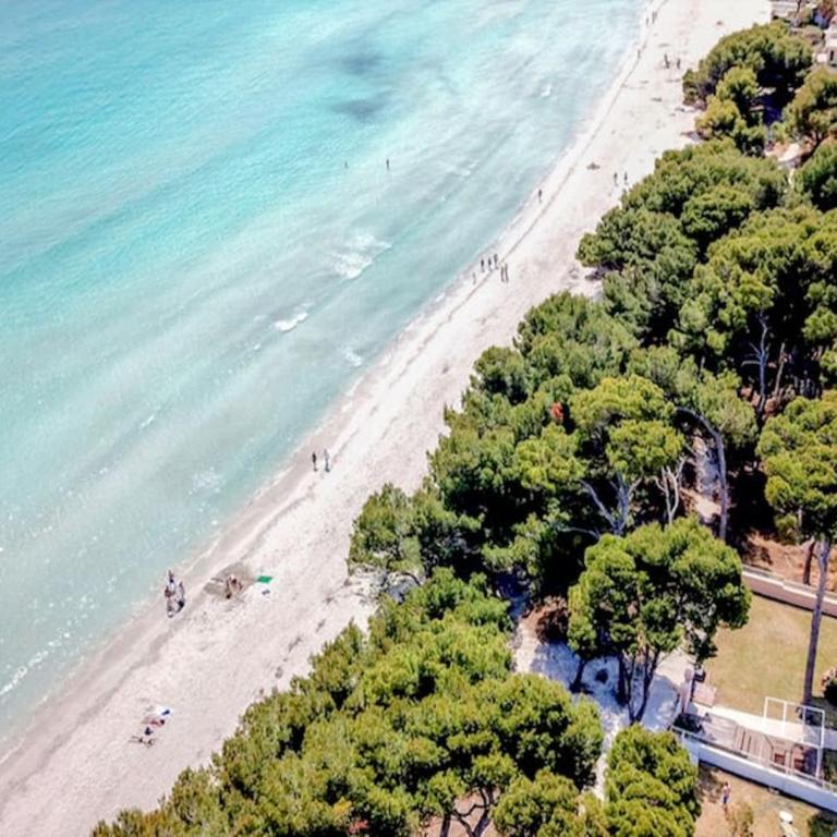 Magnífica villa en de playa de Muro - Villa - 25