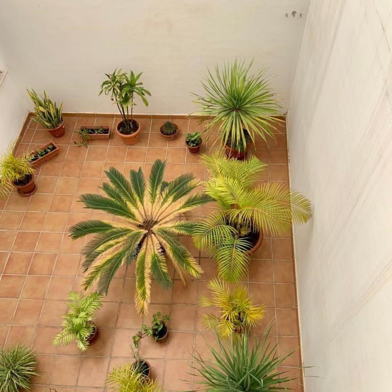 APARTAMENTO EN EL CENTRO, TRANQUILO Y LUMINOSO - One-Bedroom Apartment - 23