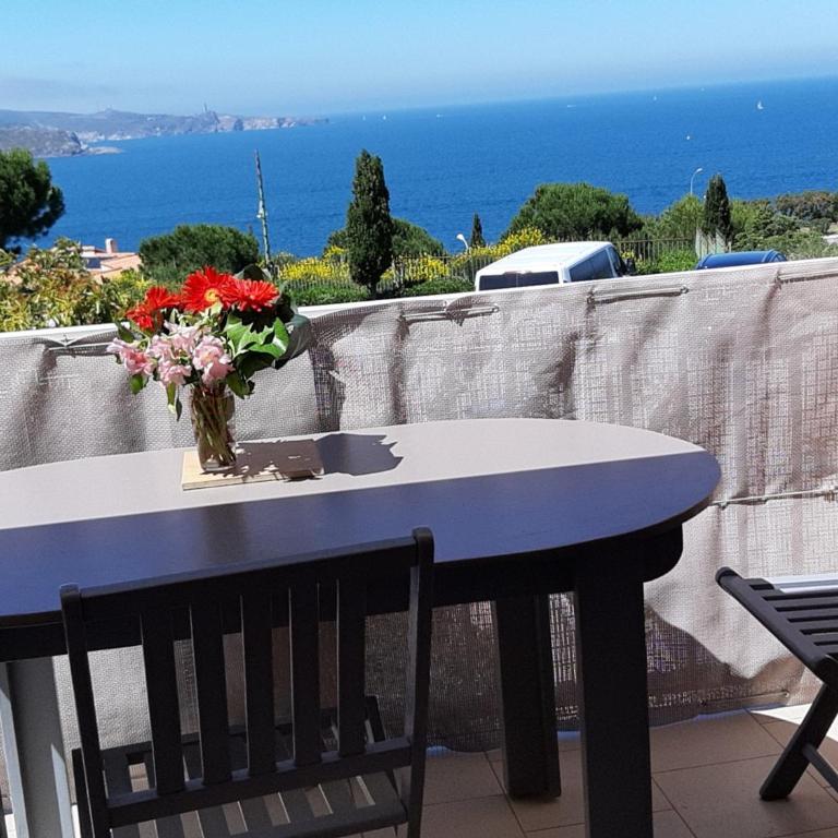 Charmant studio avec terrasse et parking à Banyuls-sur-Mer - FR-1-309-90 - Monolocale - 3