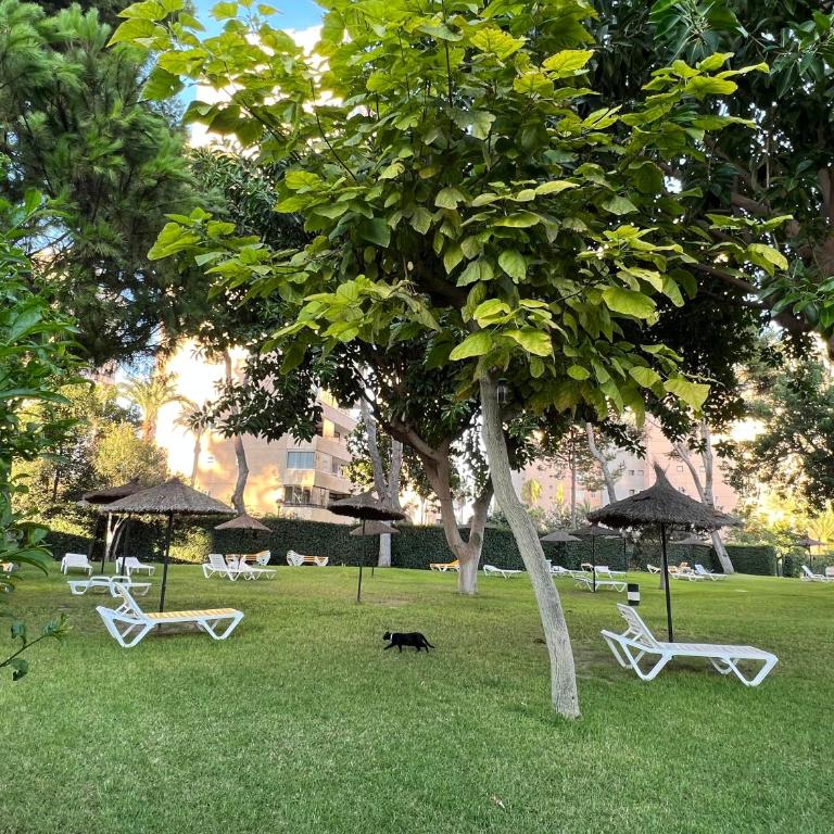 Modern 3 bedroom apartment situated in luxury beachfront gated community - Apartamento de 3 dormitorios - 28