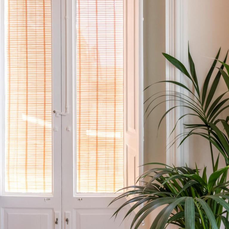 Finestre sul Teatro - Catania - Parking included - Superior Apartment - 7