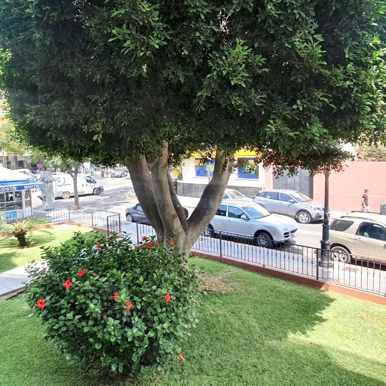 Wonderful Studio in Marbella Centre on the Second Line Beach - Studio - 10