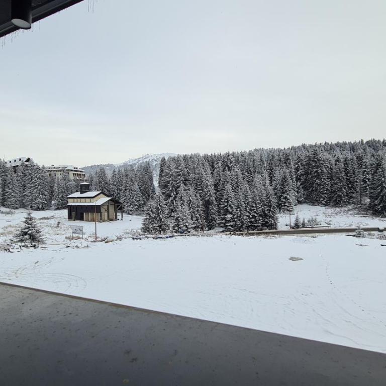 Hotel Sunčana planina - Wellness & Spa - Kopaonik - Sunny Mountain Apartments - Deluks Apartman - 35