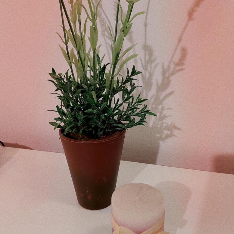 Apartmani Irena - Studio Apartman - 7