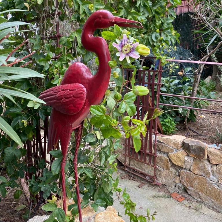 Casa di Floumy - Doppelzimmer mit Gartenblick - 32