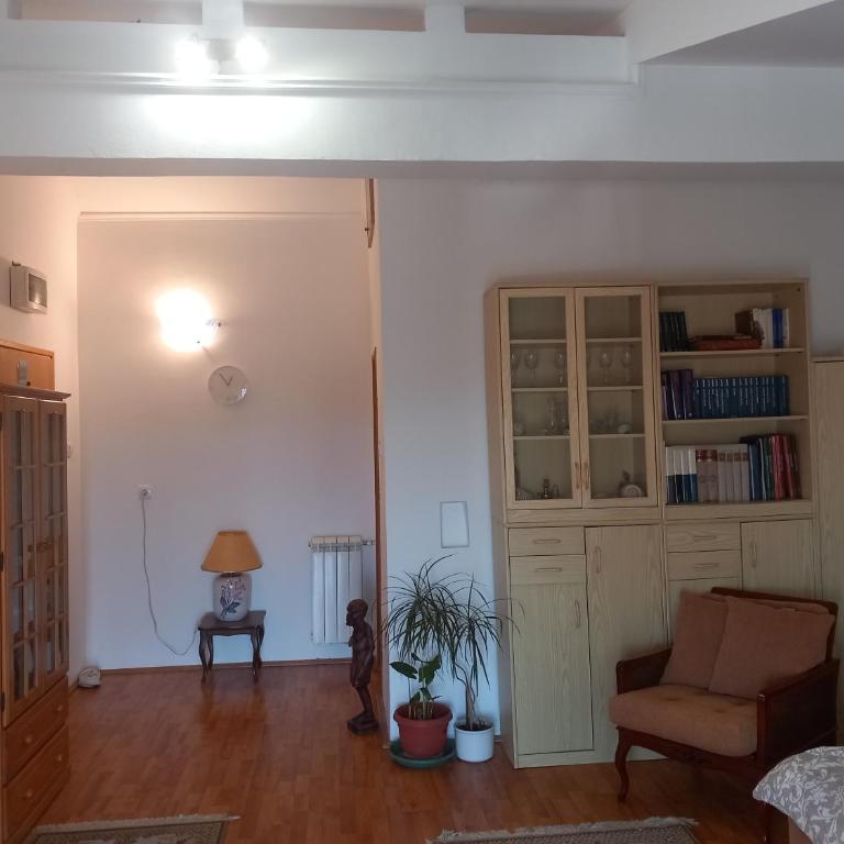 Cosy Rooftop studio with balcony - Apartman sa 1 Spavaćom Sobom - 9