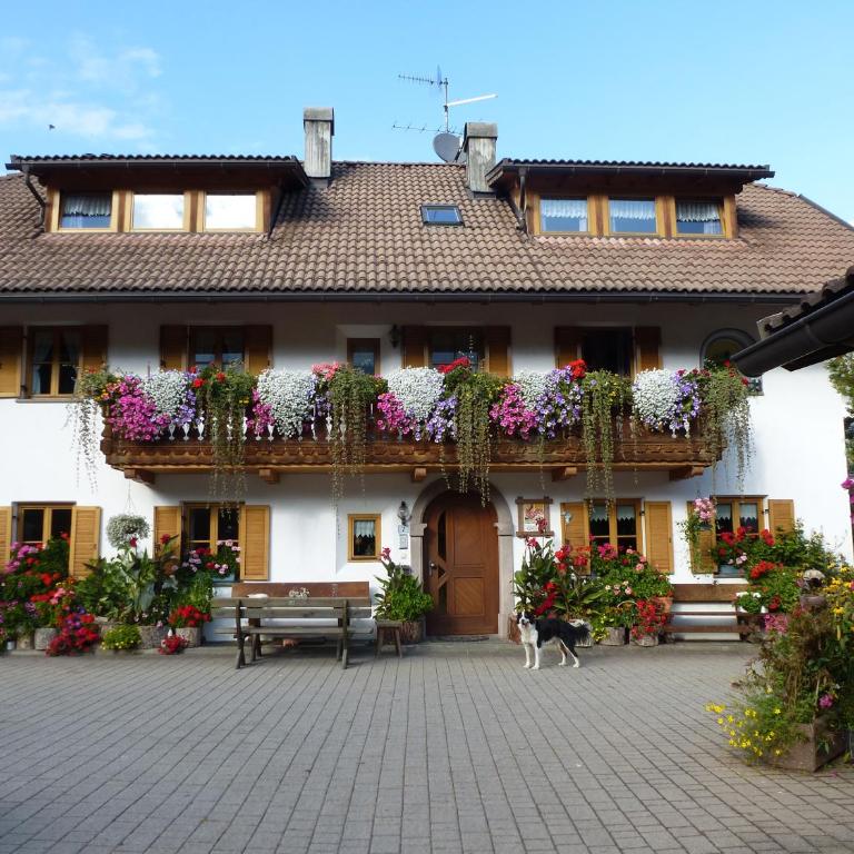Haus Ploner - Pichlerhof - Appartamento con 1 Camera da Letto - 1