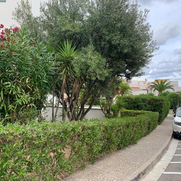 La Marina de Aiguadolç - Apartamento con vistas al mar - 70