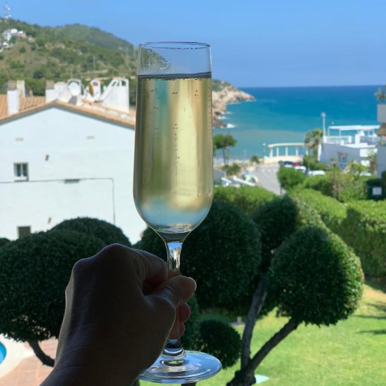 La Marina de Aiguadolç - Apartamento con vistas al mar - 15