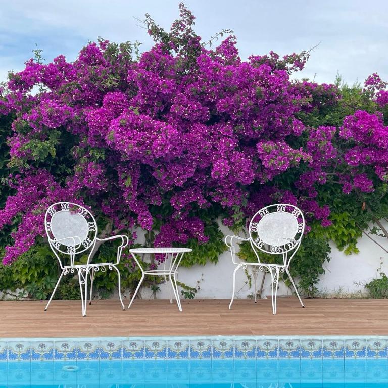 Villa Can Llompart Port de Pollensa - Three-Bedroom Villa - 4