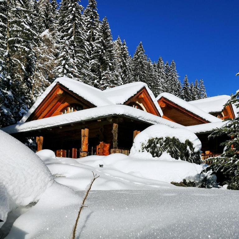 Chalet Caprea - Chalet - 2