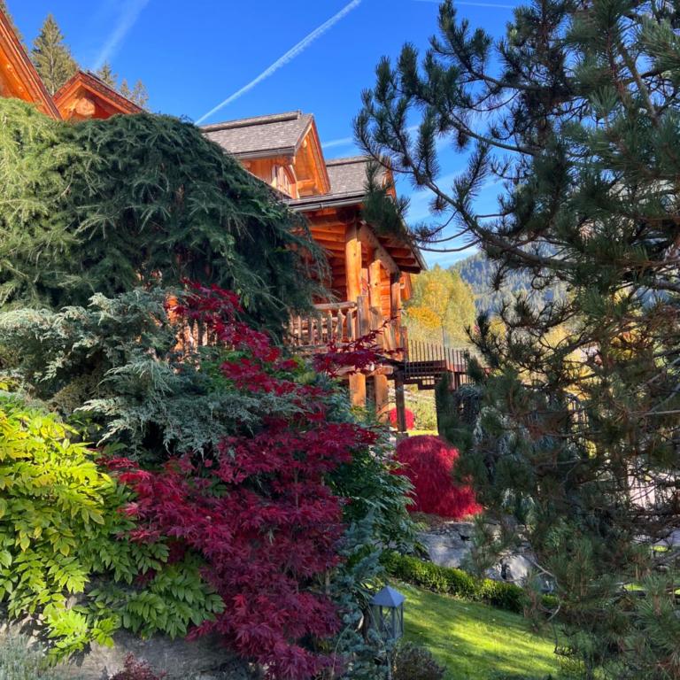 Chalet Caprea - Chalet - 72