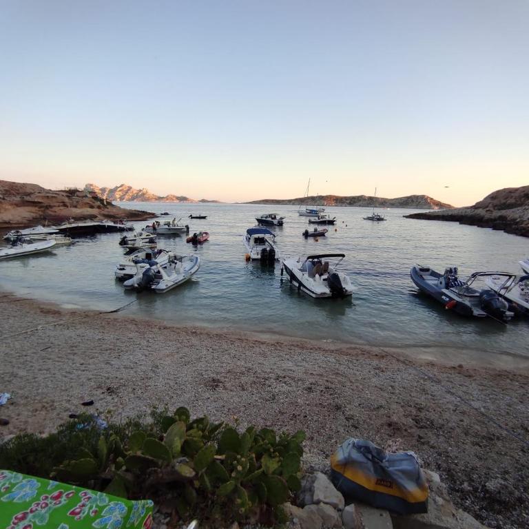 Chill Out Cabanon Coeur Calanques - Two-Bedroom Chalet - 30