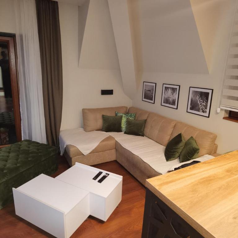 Aura Analux Apartmani - Apartman sa 1 Spavaćom Sobom - 3