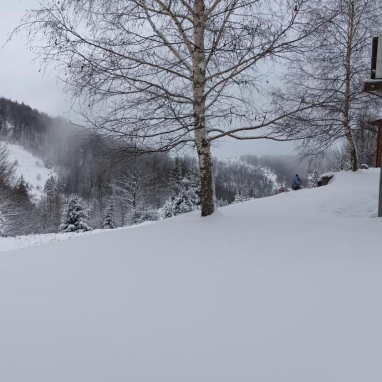 Vikendica Kop - Five-Bedroom House - 11