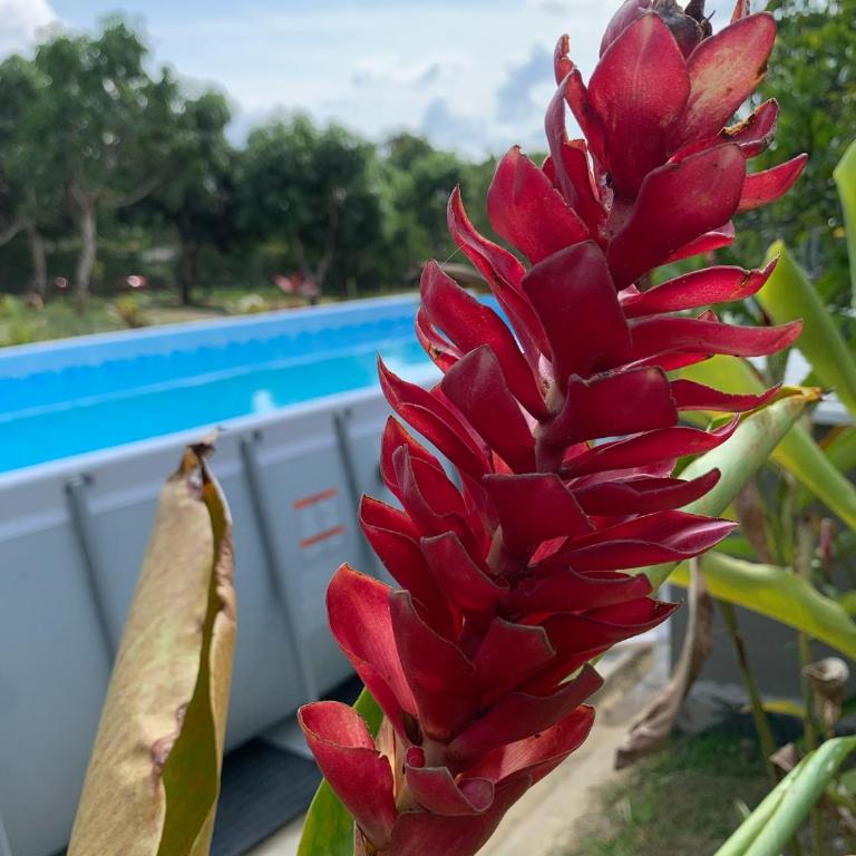 Casa privada con Piscina y BBQ en Anapoima - Two-Bedroom House - 8